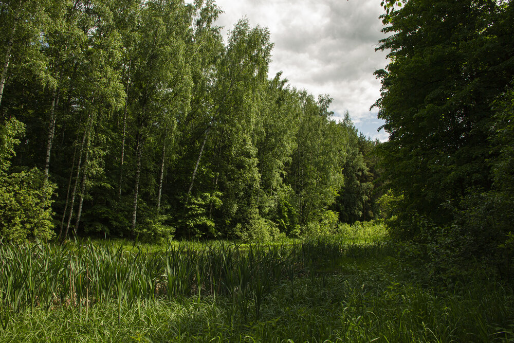 Photo #13768327