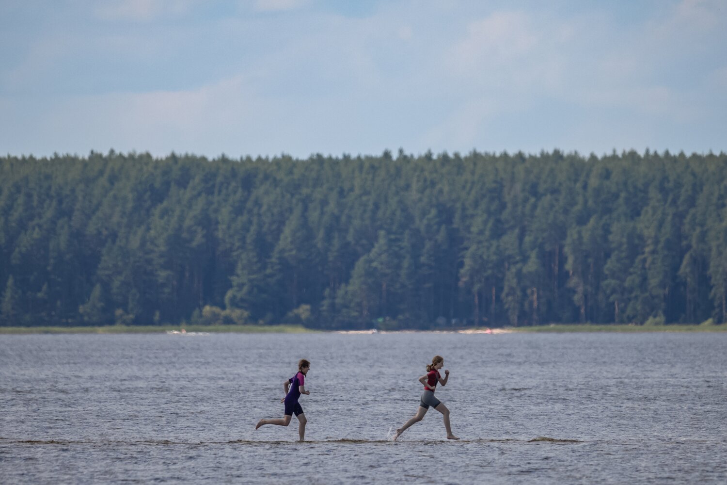 Photo #13768380
