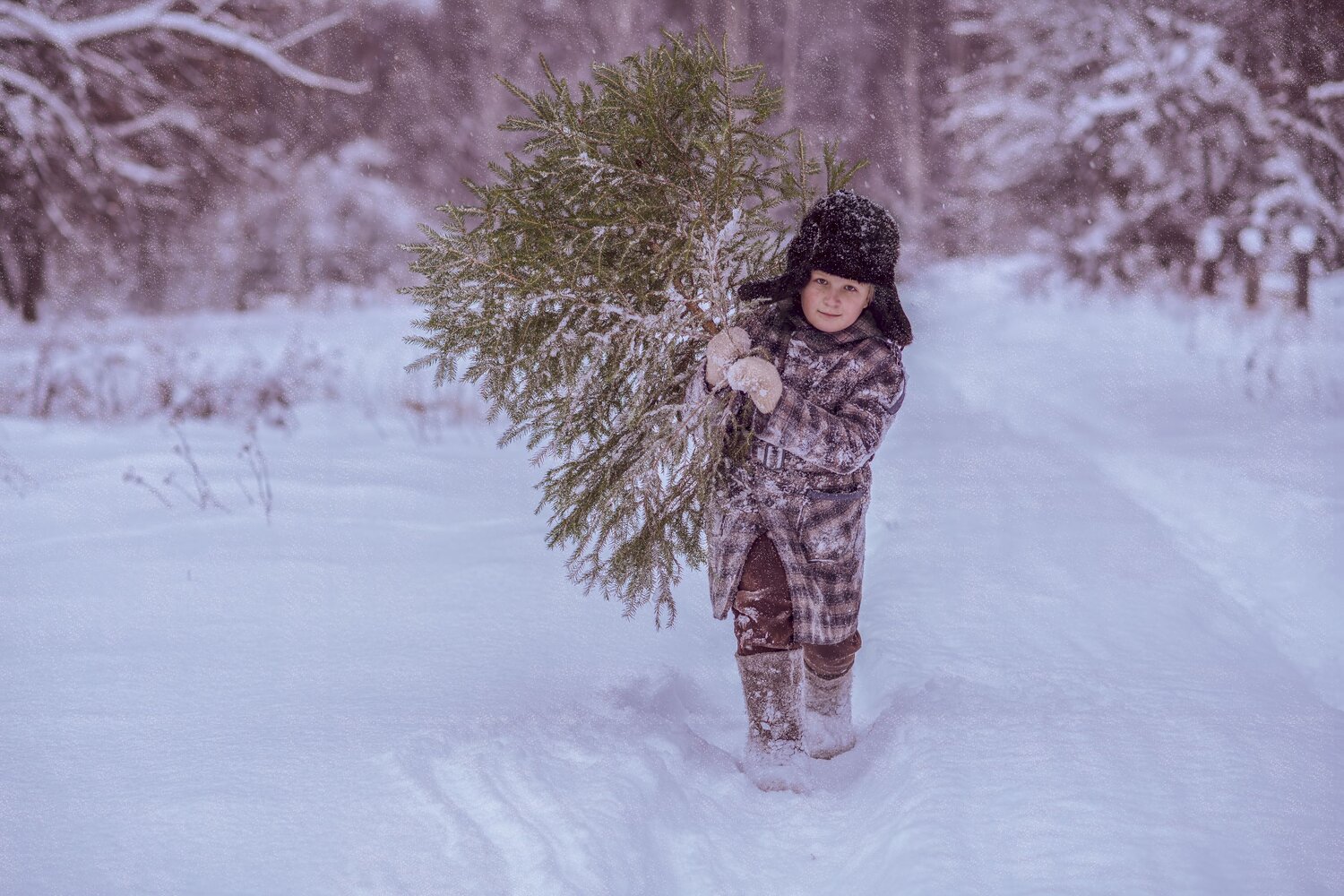 Photo #13768382