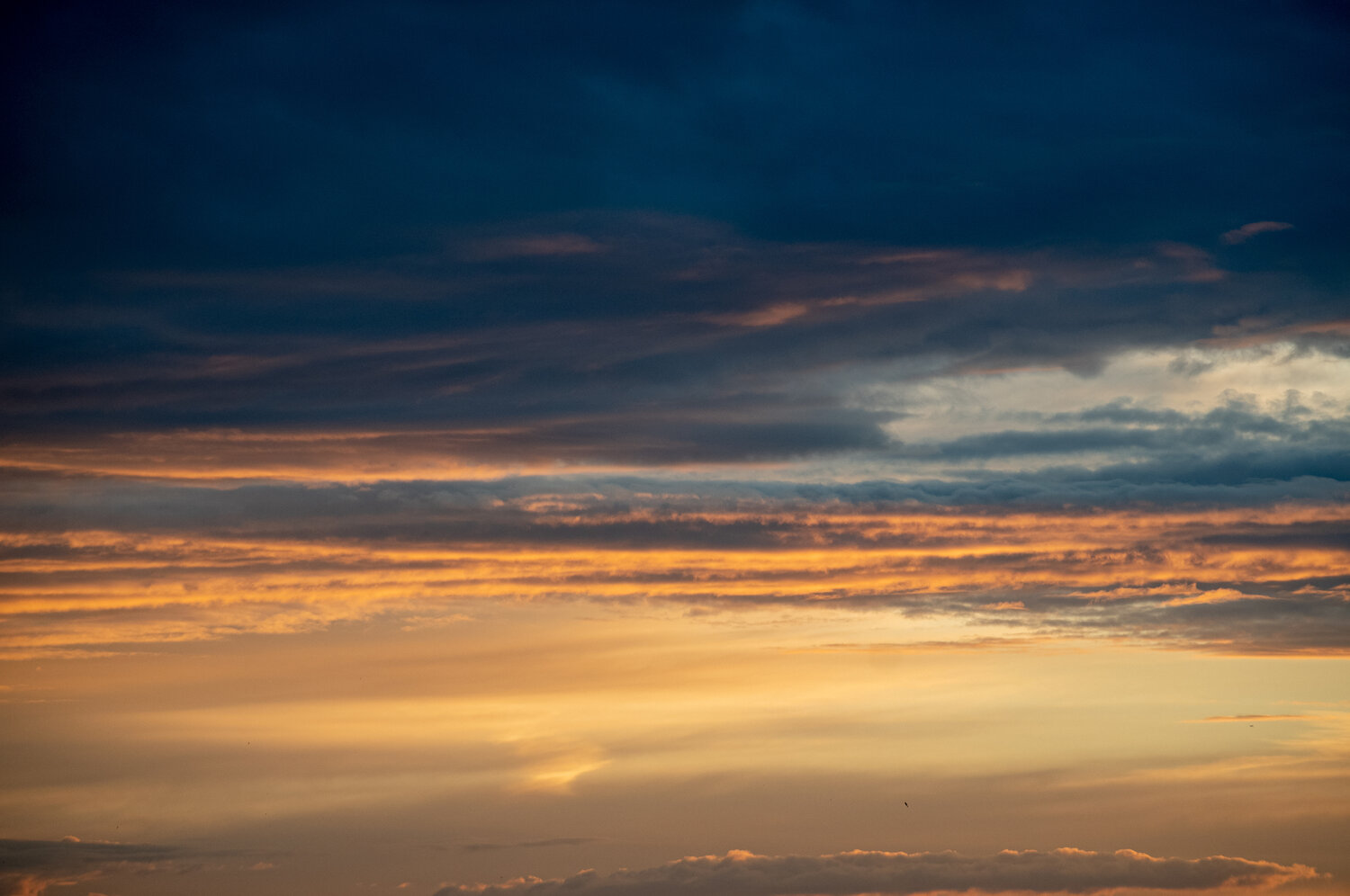 Photo #13768424