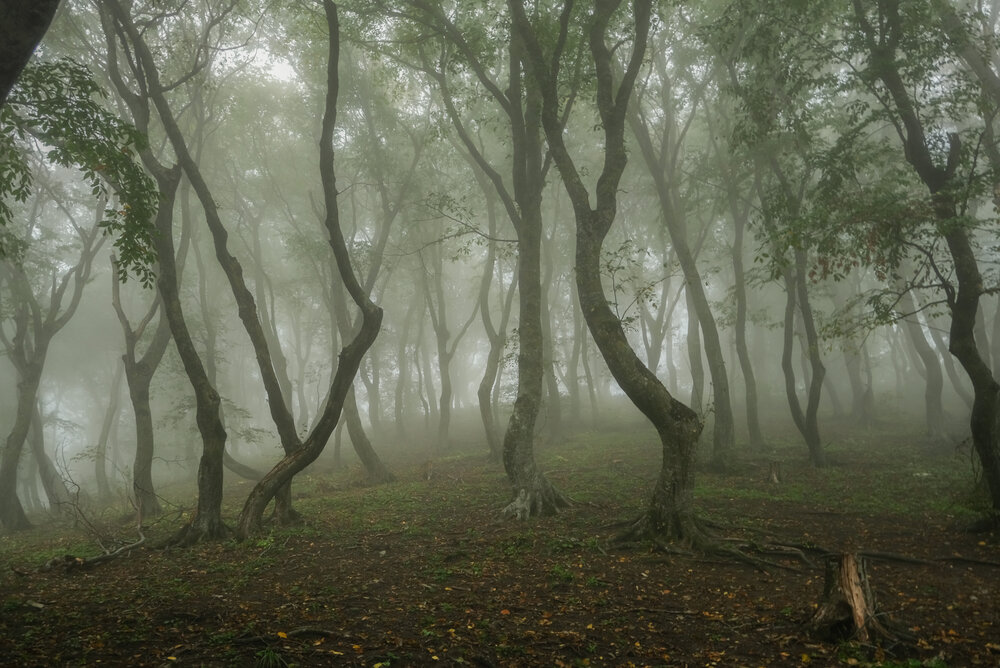 Photograph by Галина Юдина