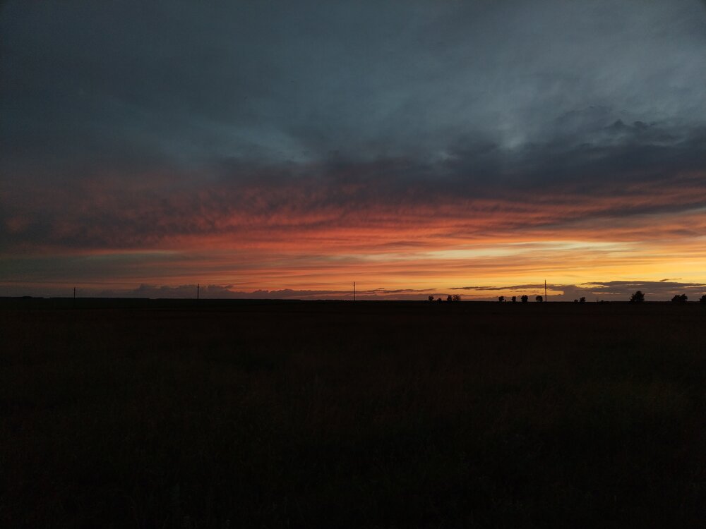 Photo #13768468
