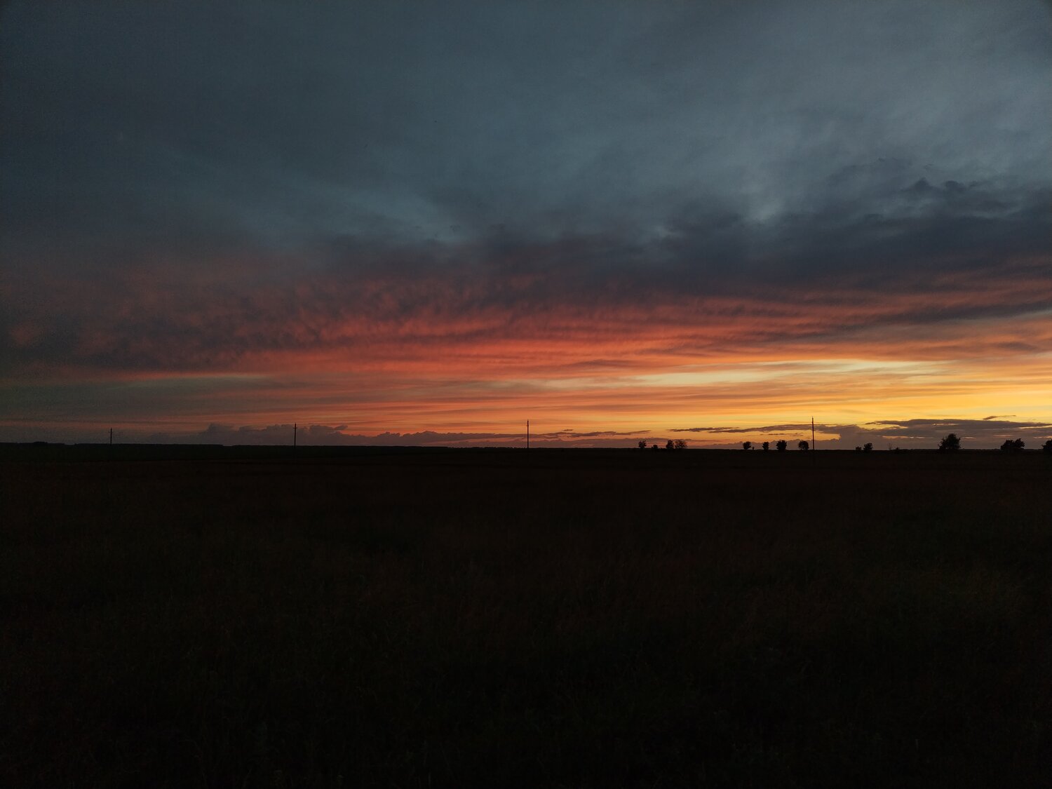 Photo #13768468