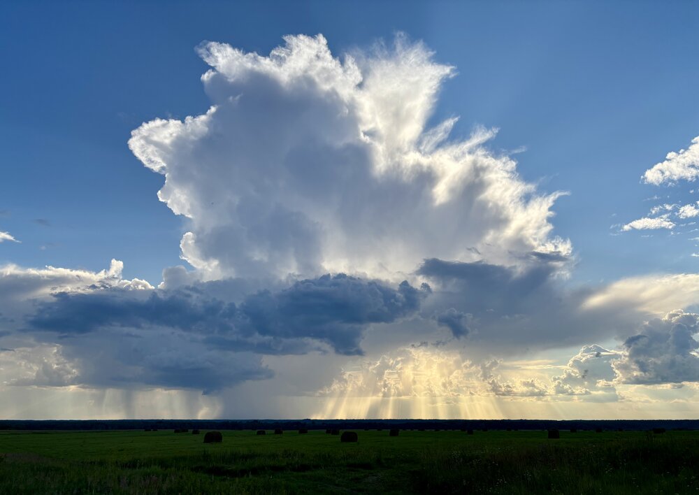 Photograph by Шаргородская Марина