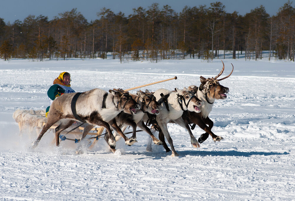 Photograph by Александр Лебедев
