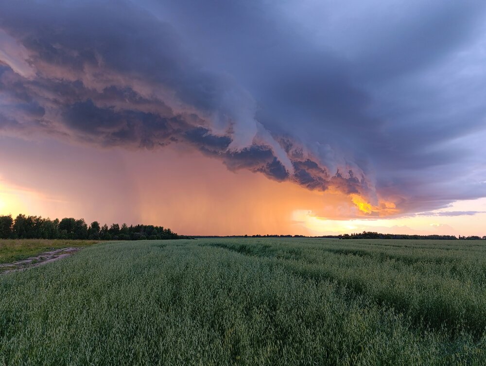 Photograph by Андрей Шестаков