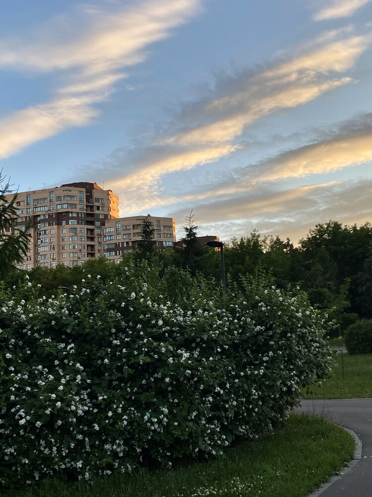 Фотография автора Наталья Мартынова