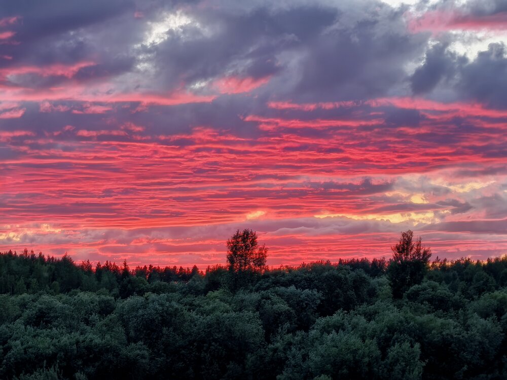 Фотография автора Юлия