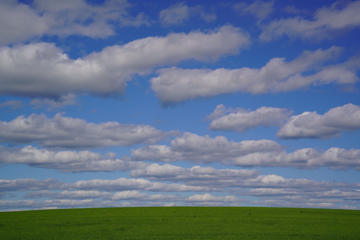 Photo #13768728
