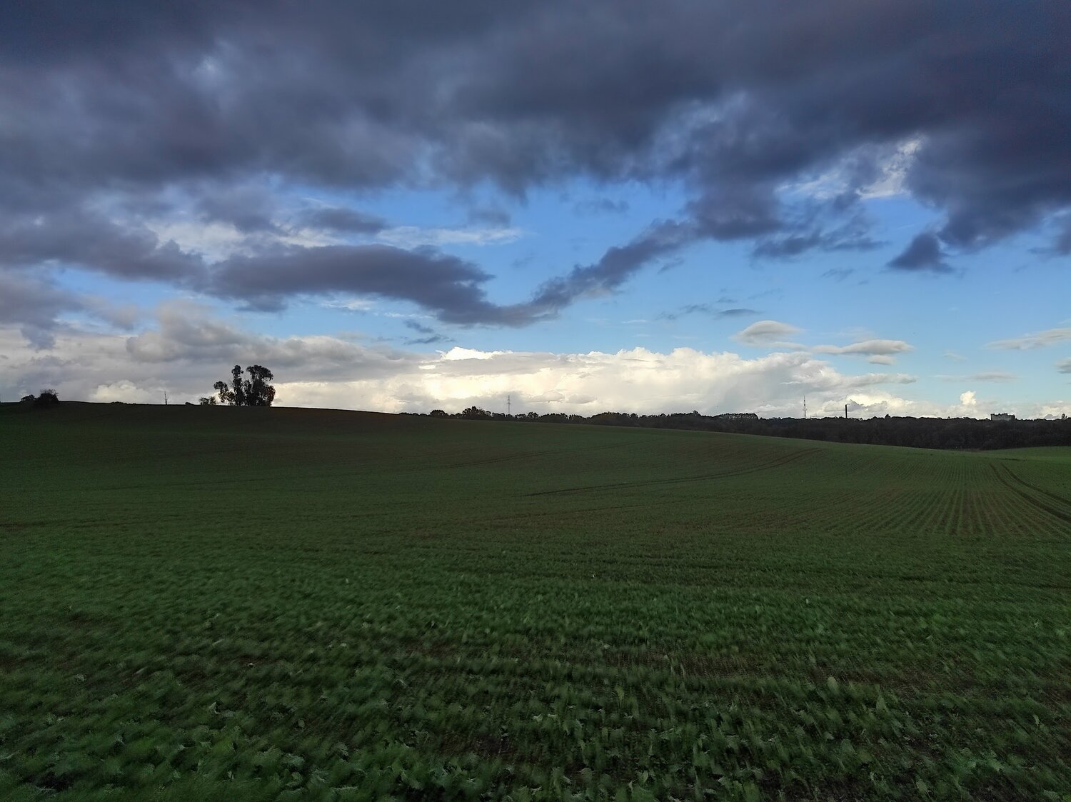 Photo #13768729