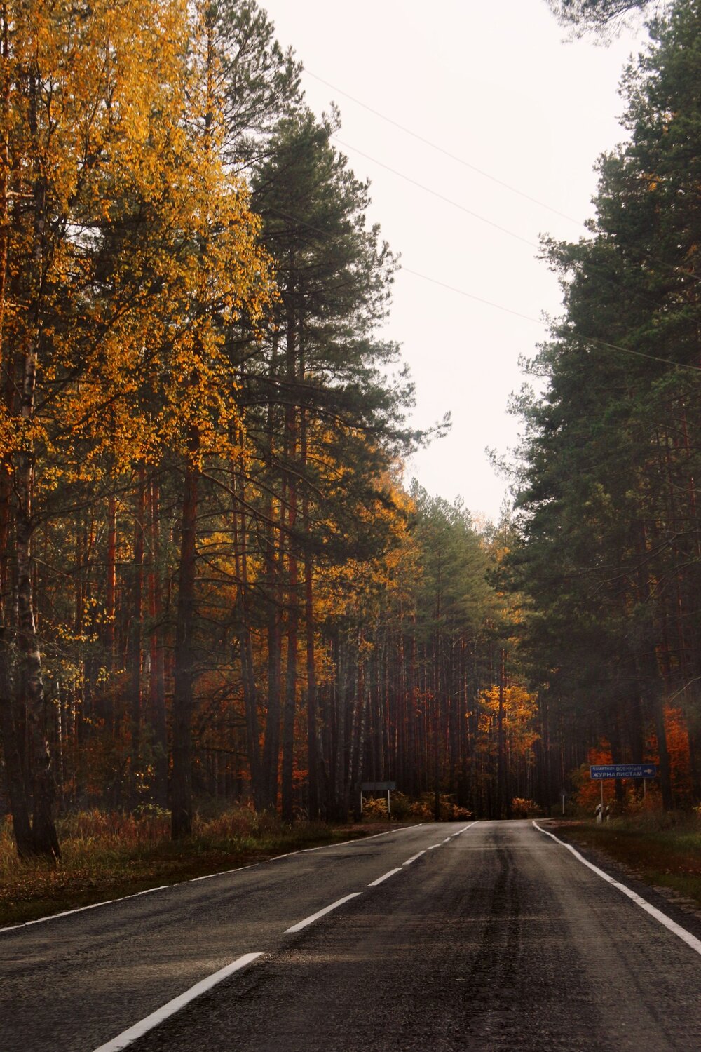 Photo #13768775