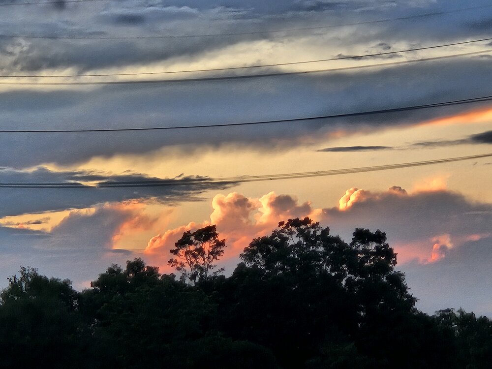 Photograph by Dibyajyoti Das
