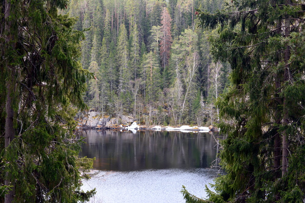 Photo #13768907