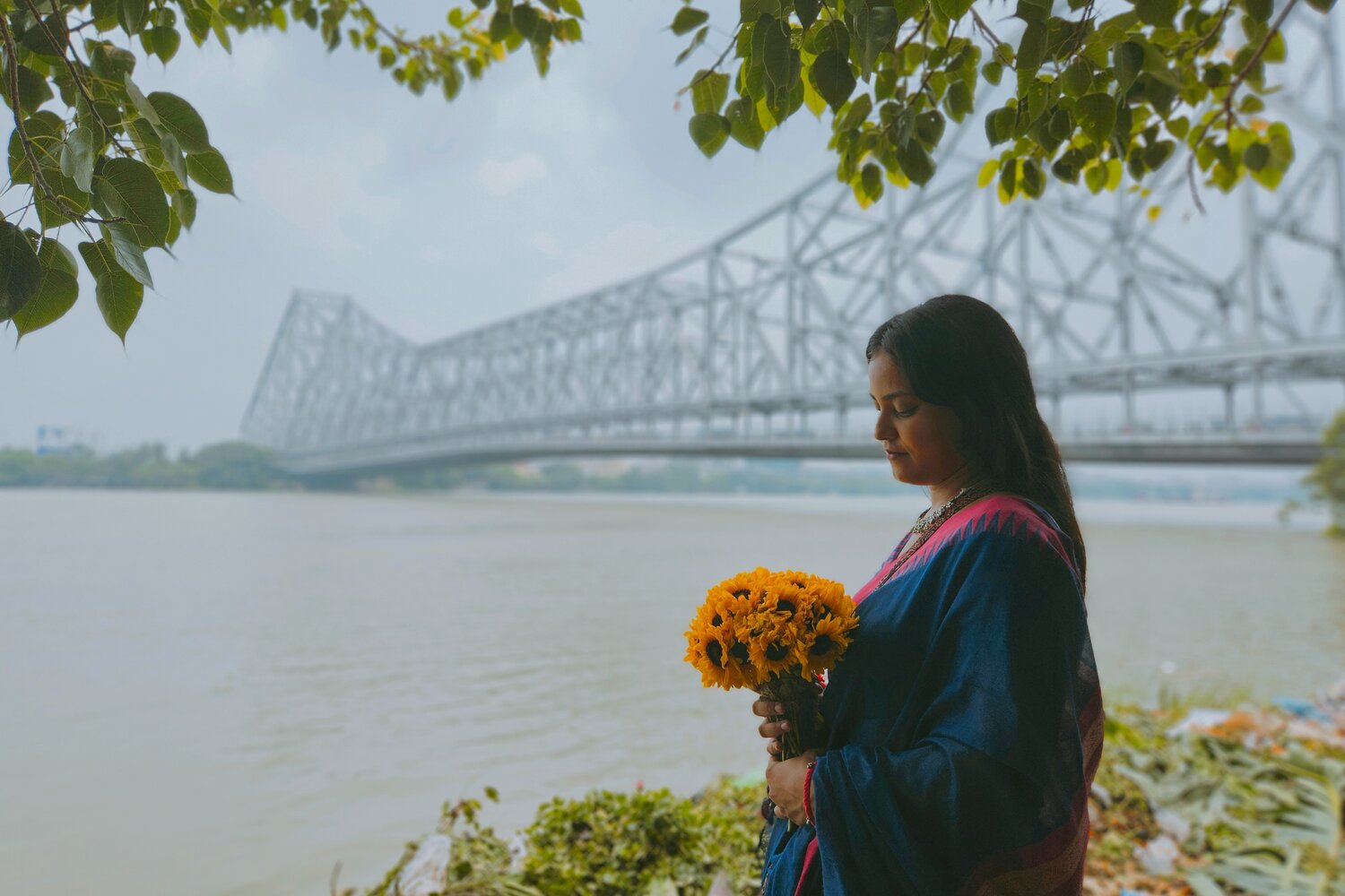 Mriganayani in sunflower light