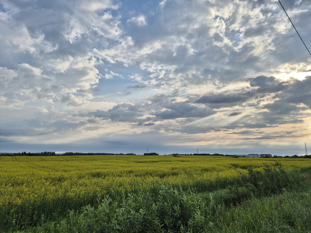 Photograph by Еловик Валерий