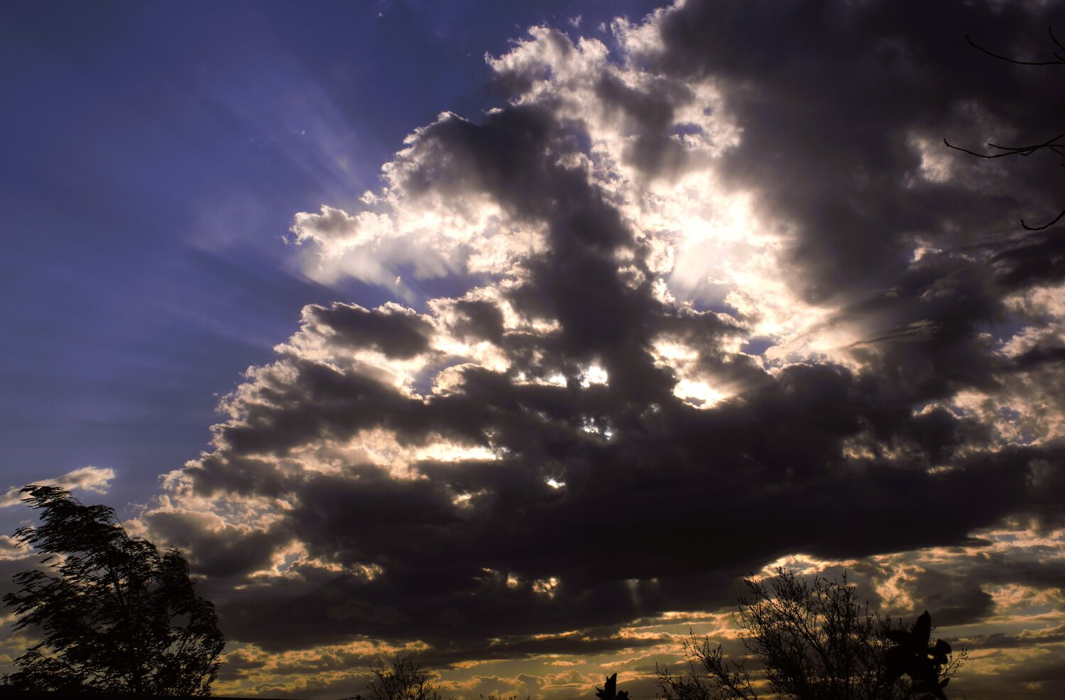 Photo #13769076