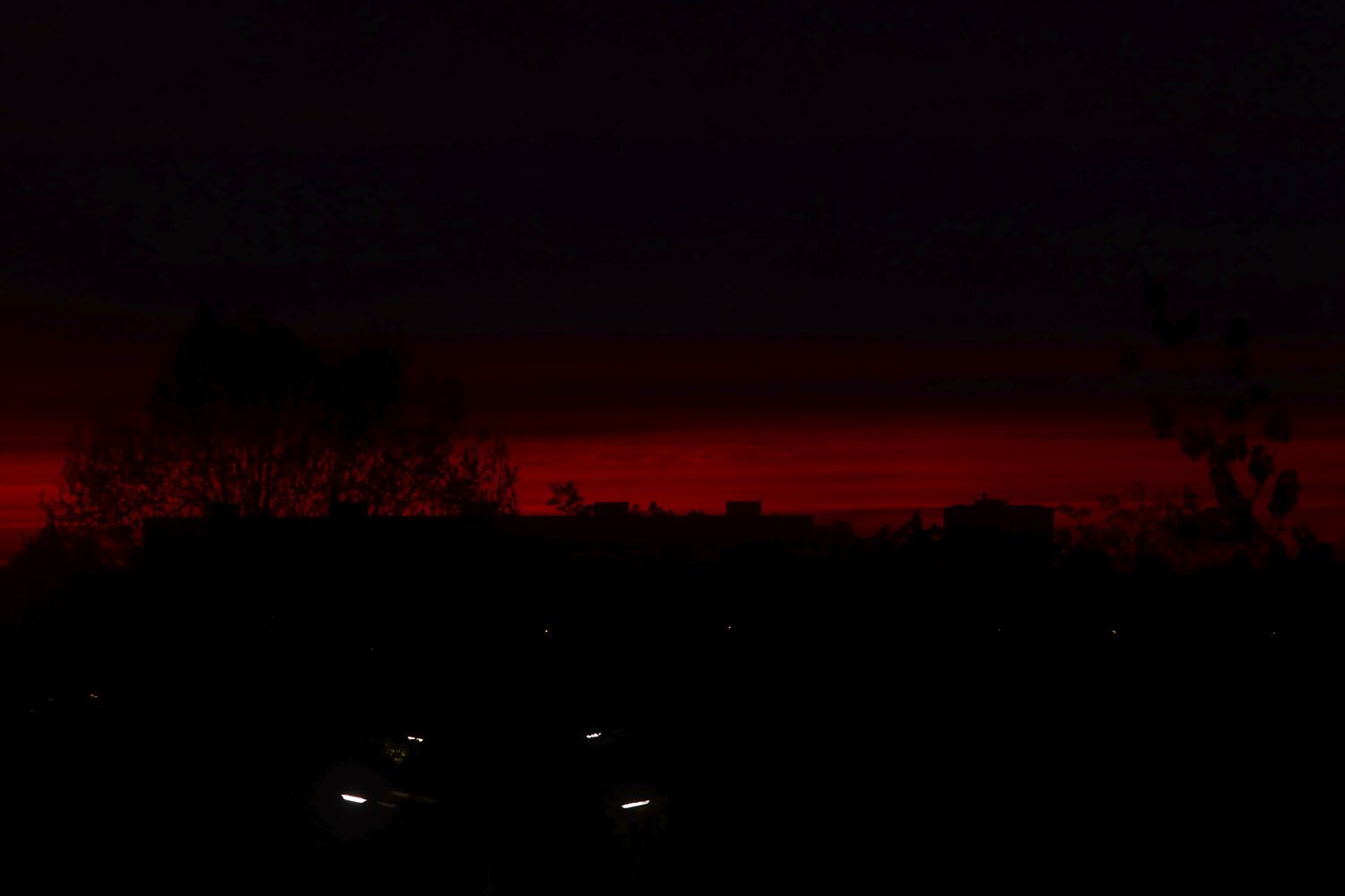 Photo #13769141