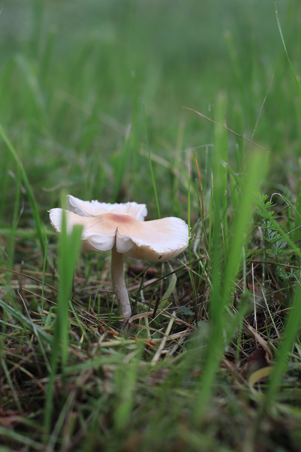 Photo #13769143