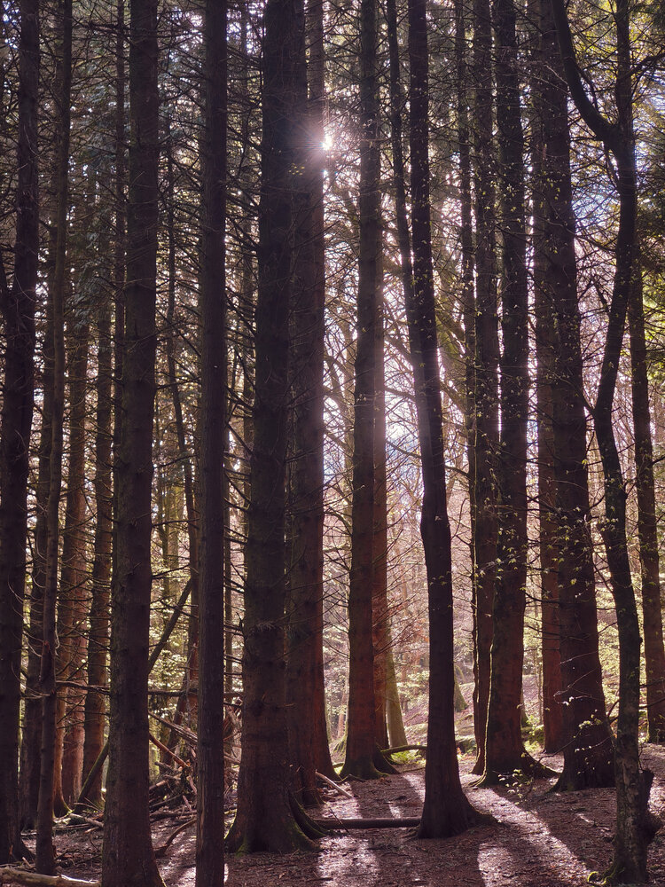 Photograph by Masha Abjanovic