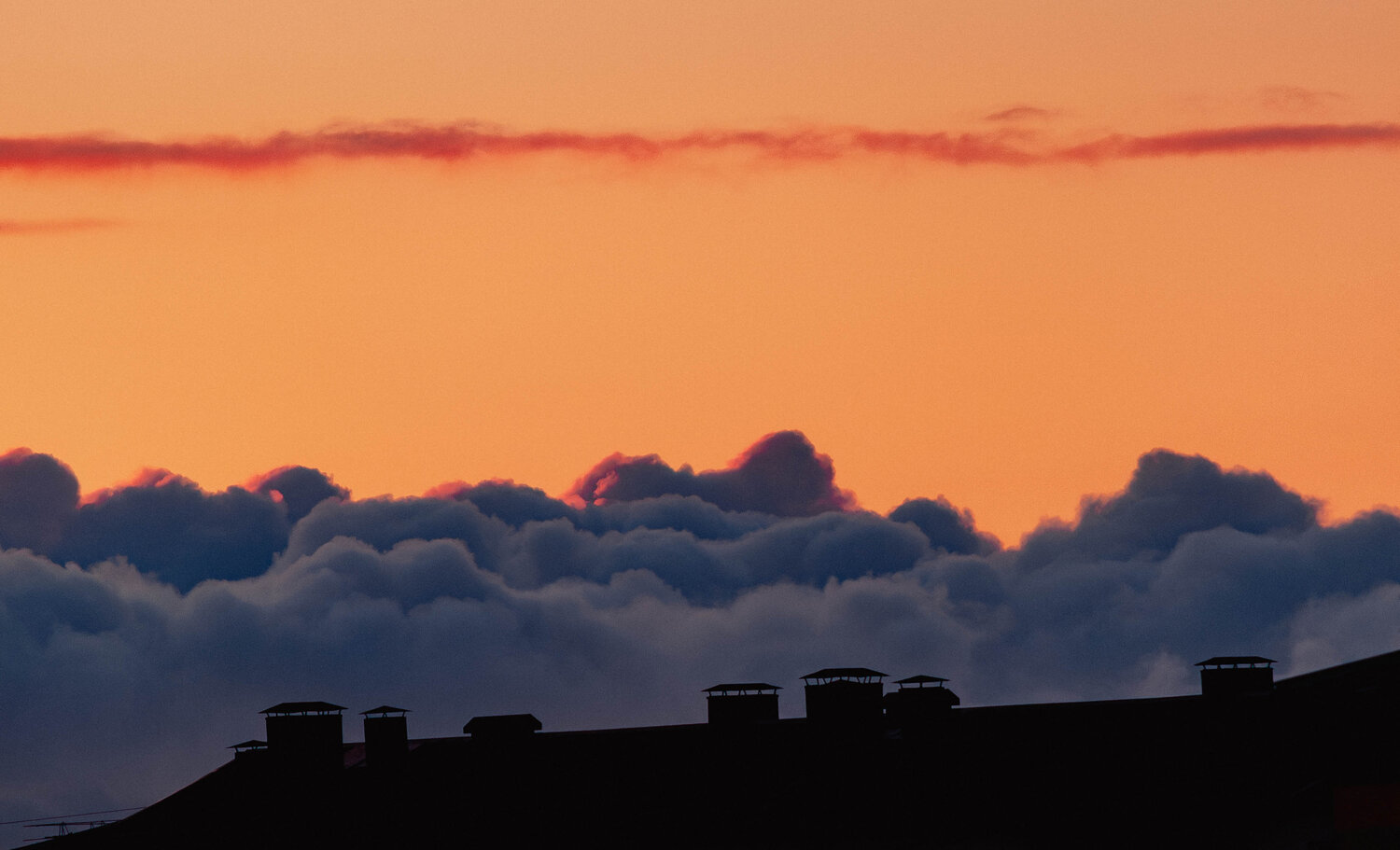 Photo #13769209