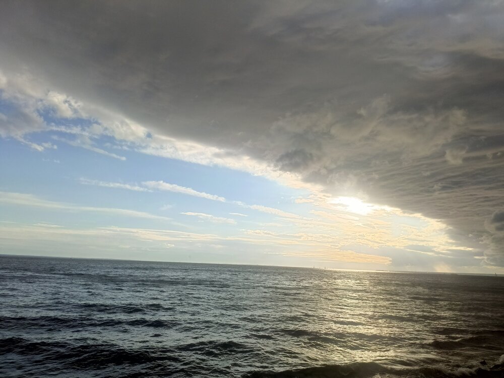 Photo #13769242