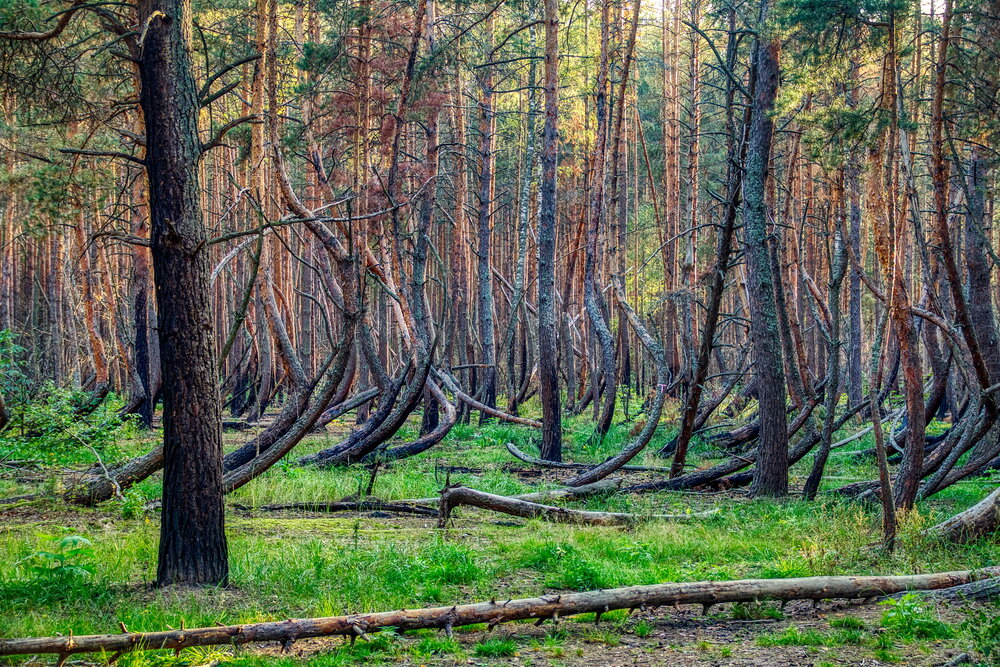 Photograph by Андрей Хитров