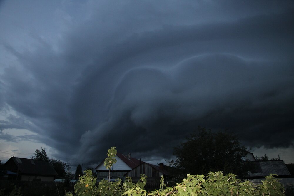 Photograph by Леунина Людмила