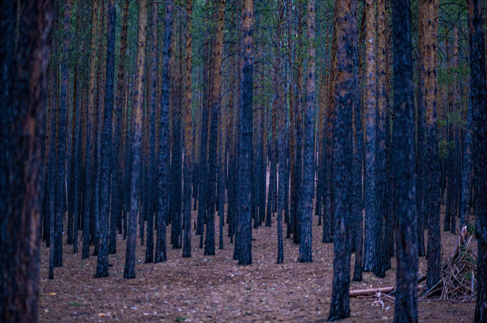 Photograph by Роман Крупченко