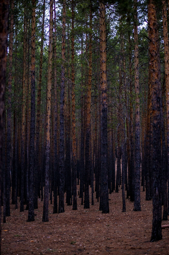 Photograph by Роман Крупченко