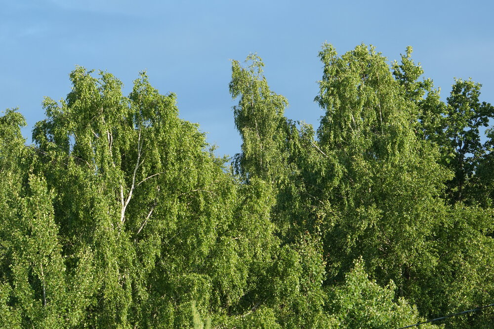 Photograph by Михаил Трусов