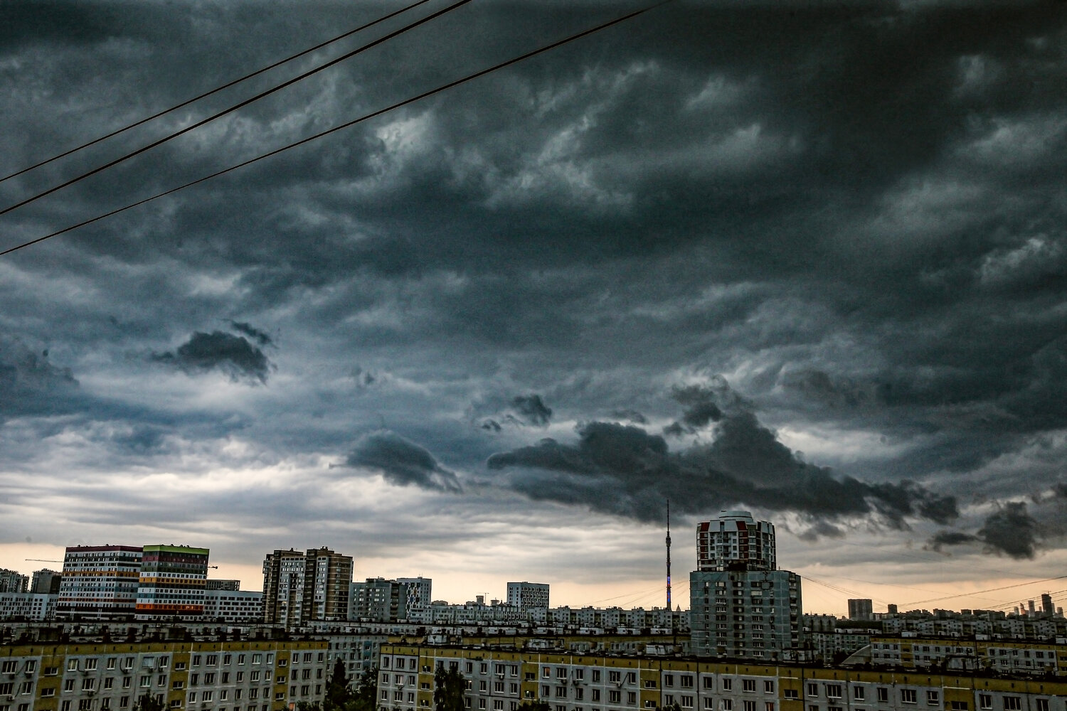 Photo #13769368