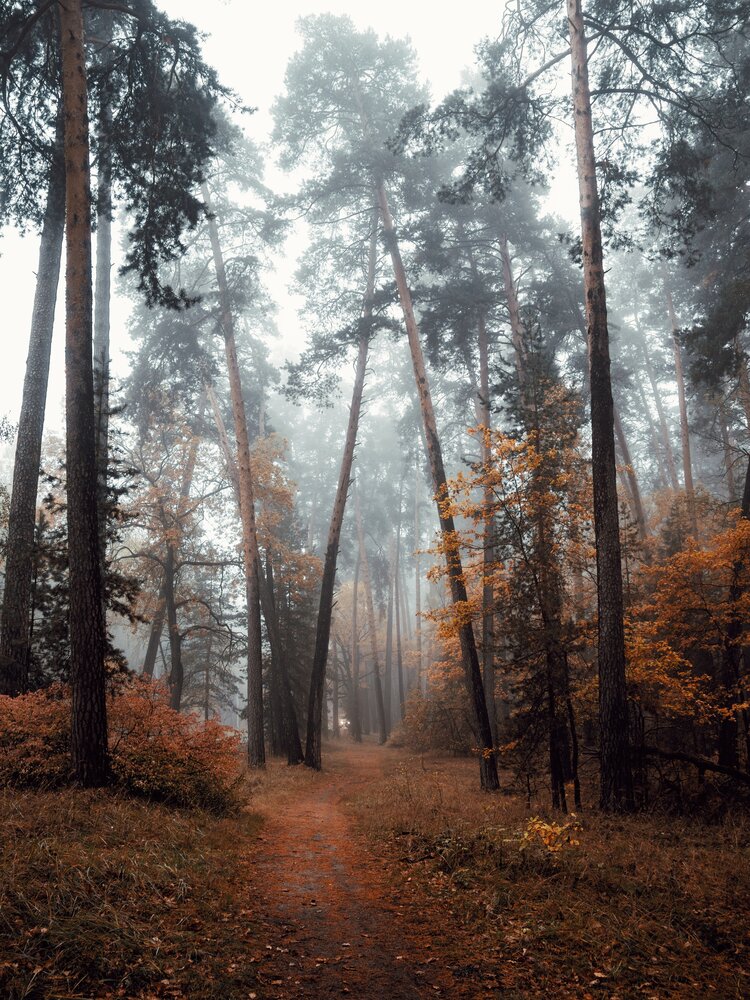 Photograph by Анна Любимова