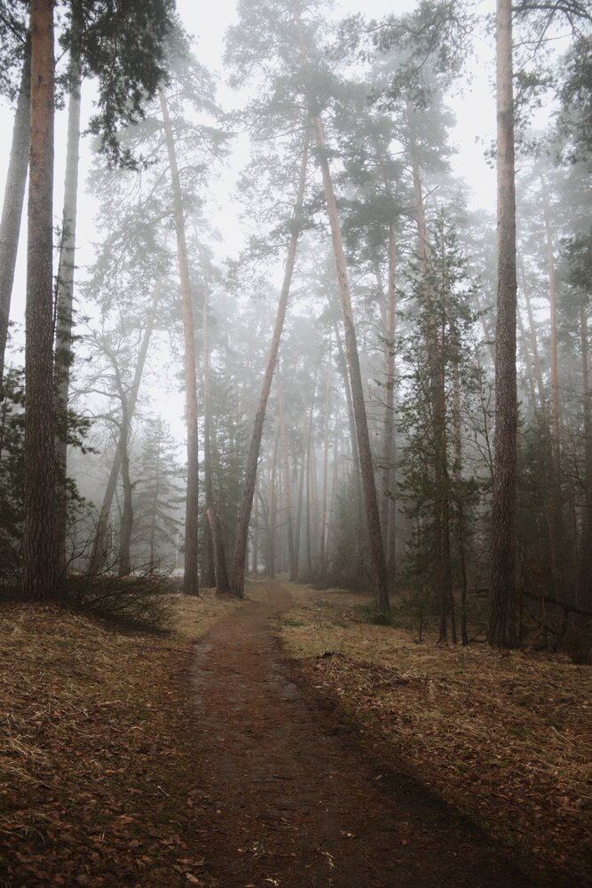 Photograph by Анна Любимова