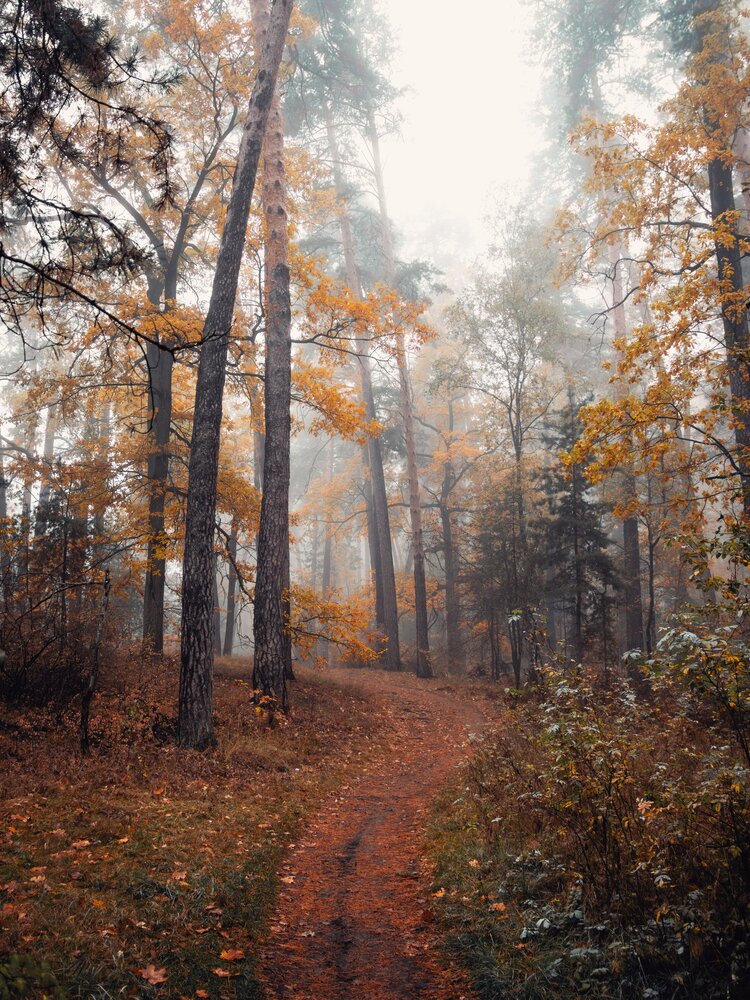 Photograph by Анна Любимова
