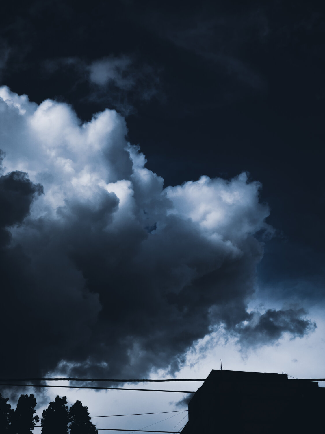 Photo #13769487