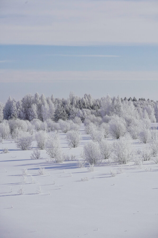 Photograph by Julia Andreeva