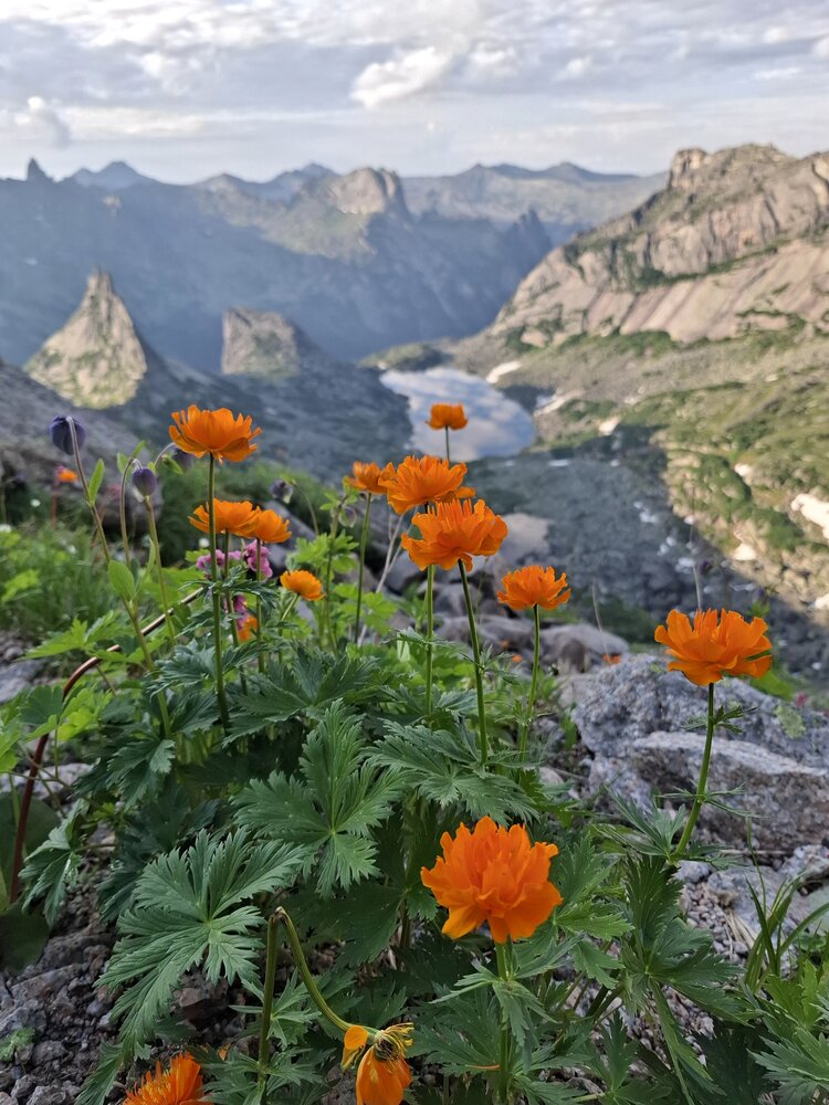 Photograph by Олег Лебедев