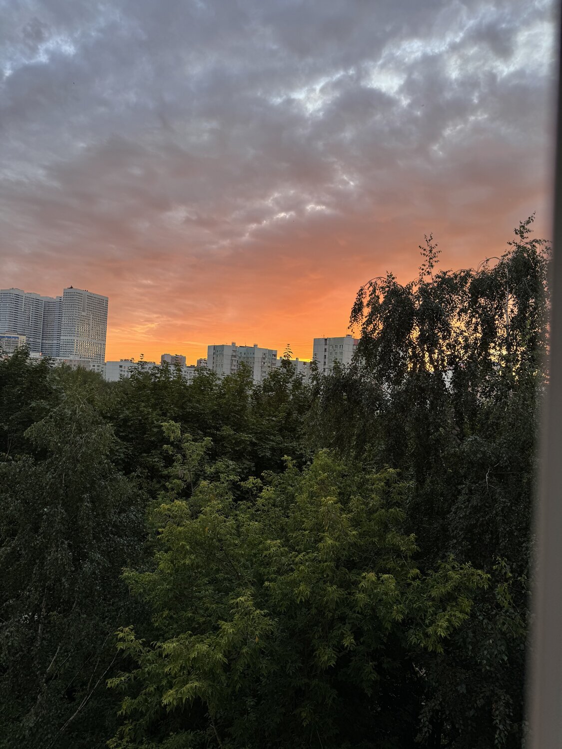 Photo #13769551