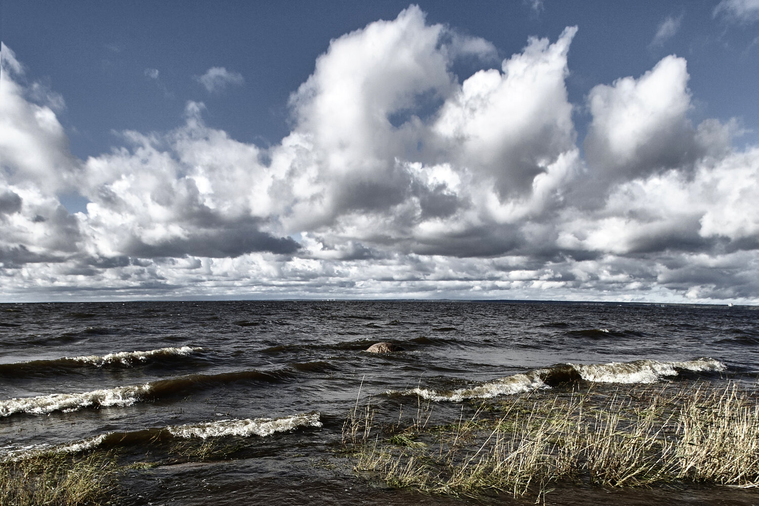 Photo #13769561