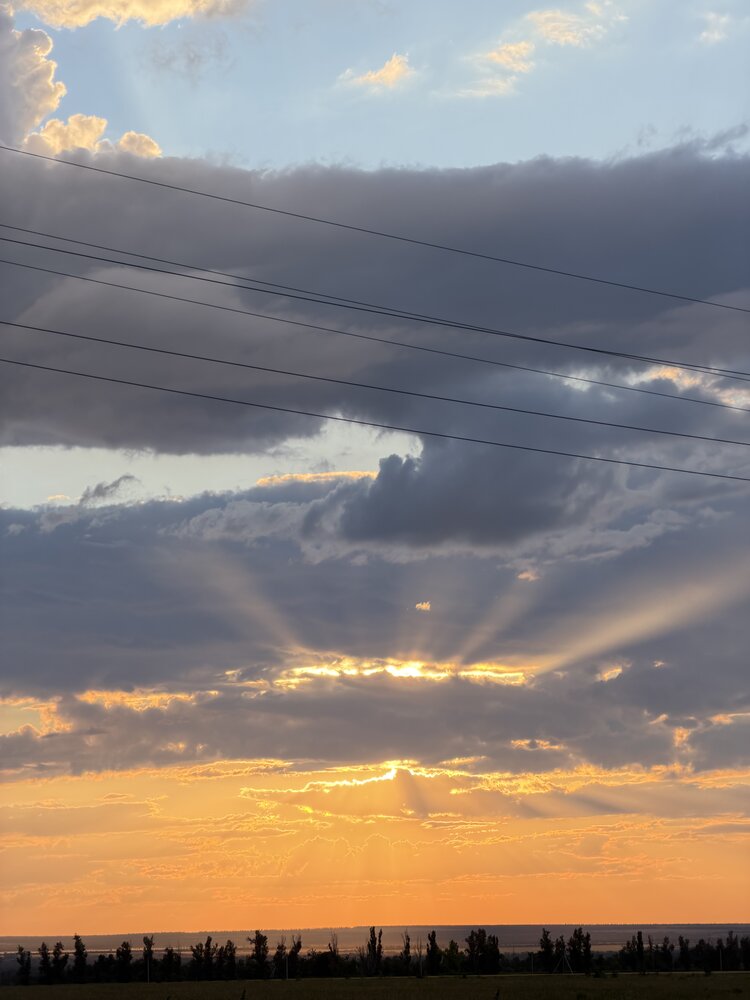 Photograph by Ирина Молибог