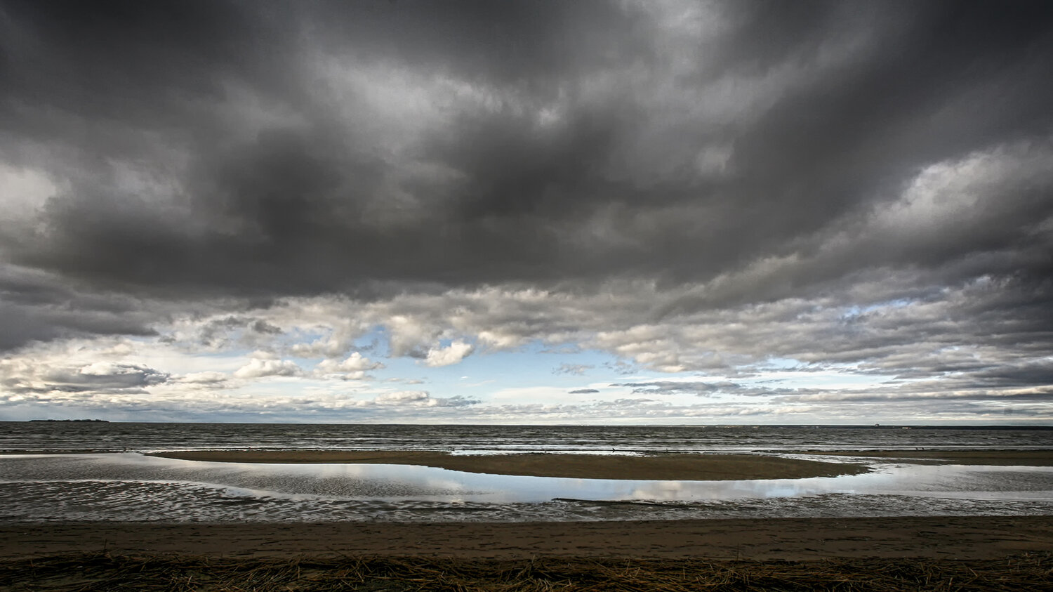 Photo #13769597