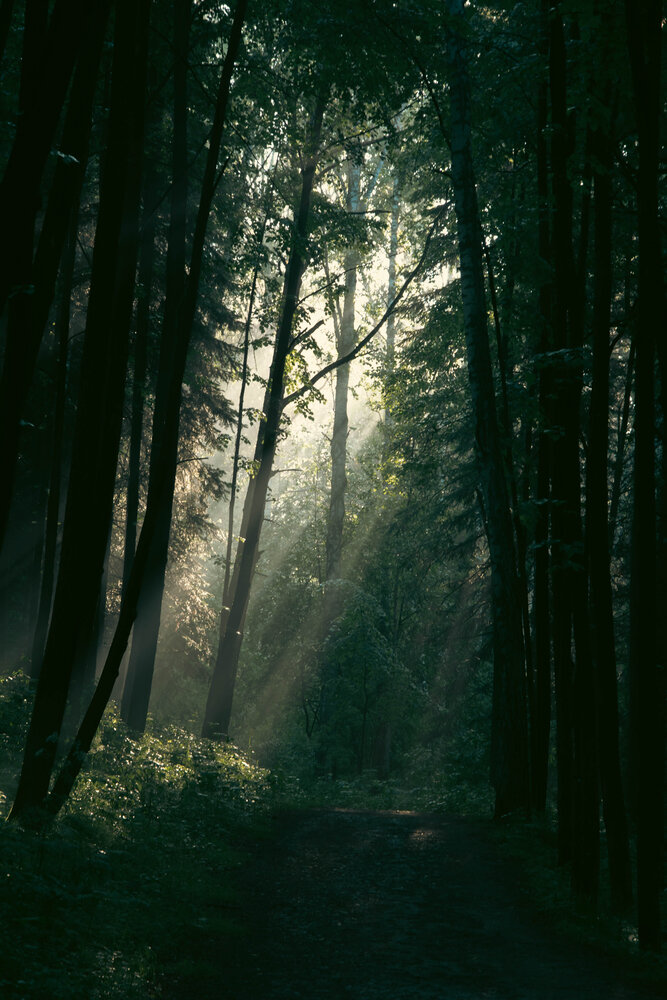 Photograph by Данил Баглаев