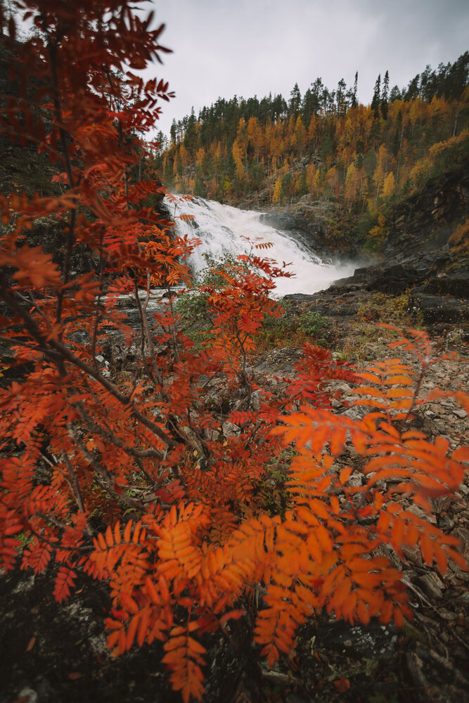 Photograph by Ирина Малина