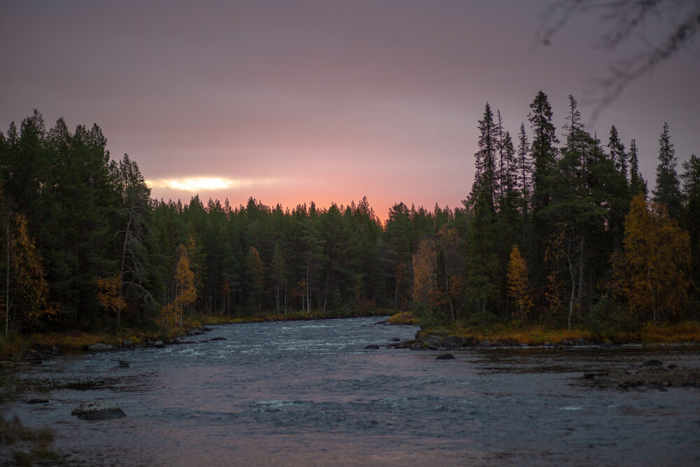 Photograph by Ирина Малина