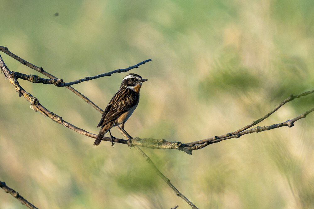 Photograph by Вениамин Подолян