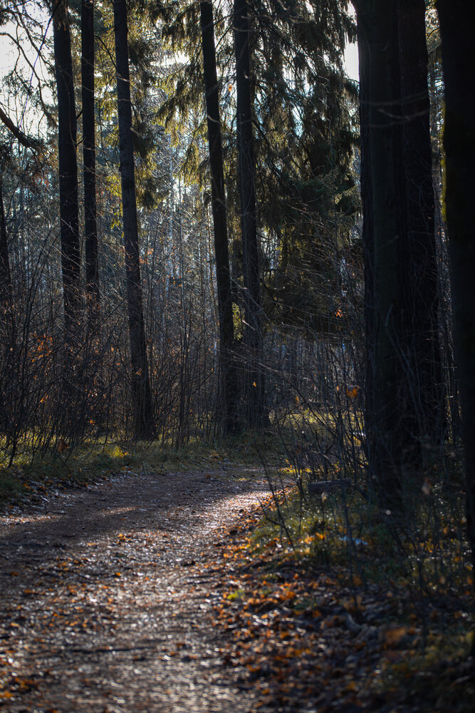 Photo #13769671
