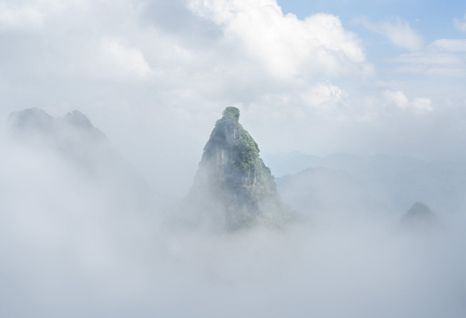 Photo #13769751