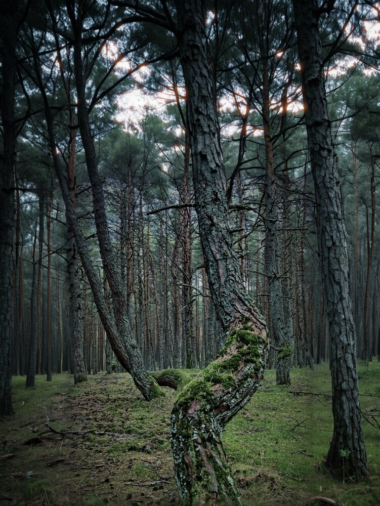 Photograph by Сергей Носов
