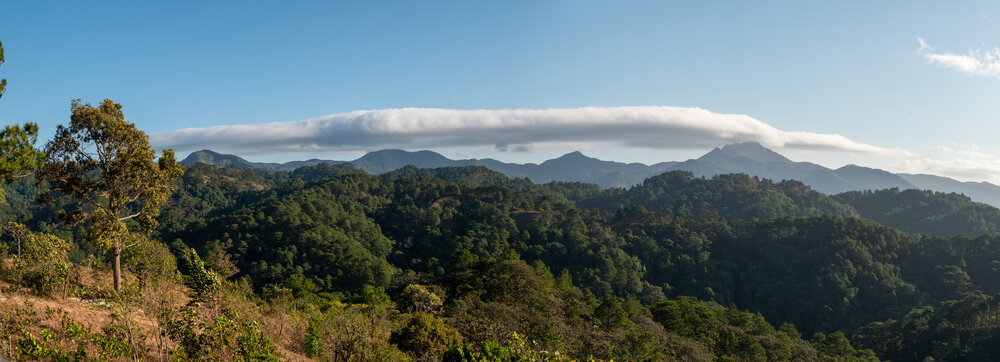 Photograph by John Chau