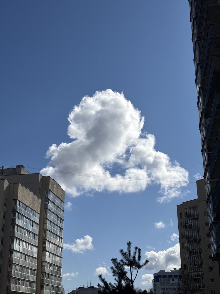 Фотография автора Ника Киреева